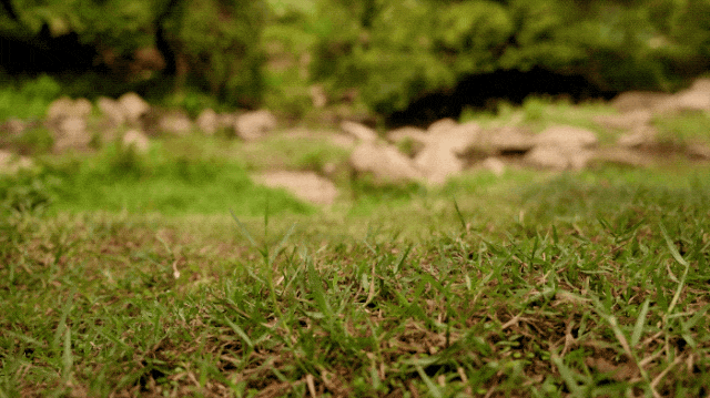 !百元造某克某迪千元级户外鞋!牛!中国制造已经强到如此可怕了(图14) !百元造某克某迪千元级户外鞋!牛!中国制造已经强到如此可怕了(图14)