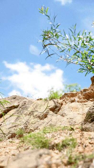 !百元造某克某迪千元级户外鞋!牛!中国制造已经强到如此可怕了(图30) !百元造某克某迪千元级户外鞋!牛!中国制造已经强到如此可怕了(图30)